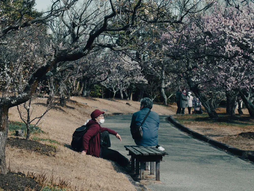 公園のベンチで過ごす年配の方