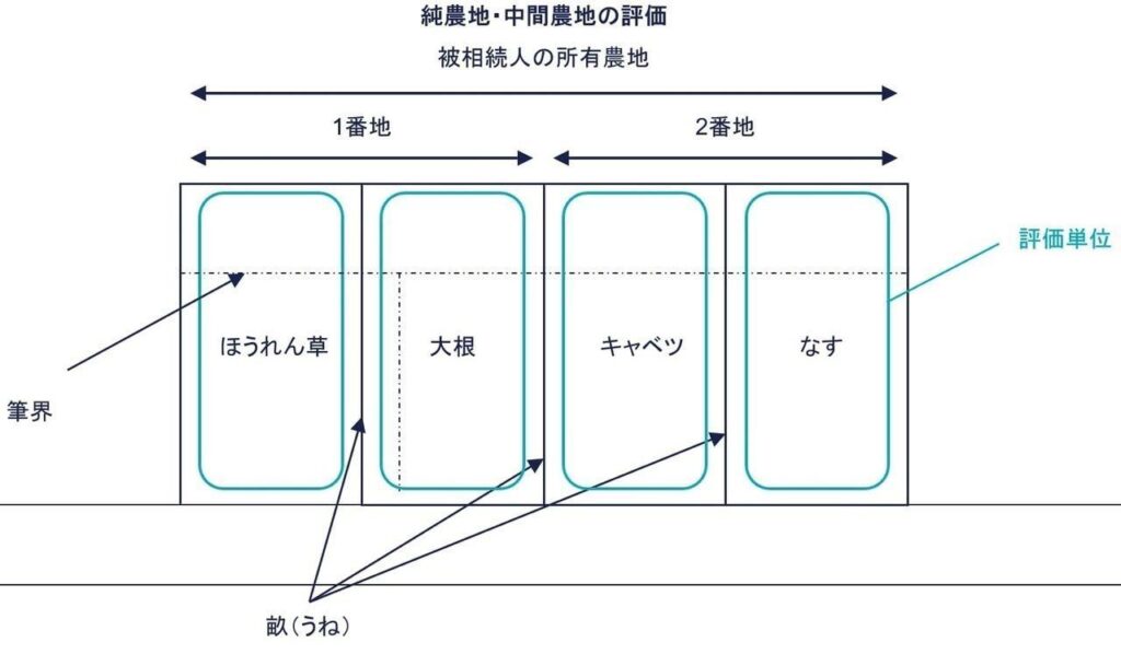 原則－純農地・中間農地の図