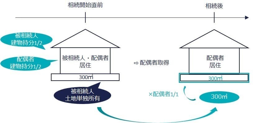 生前の共有家屋の取り扱い（タイムライン図）