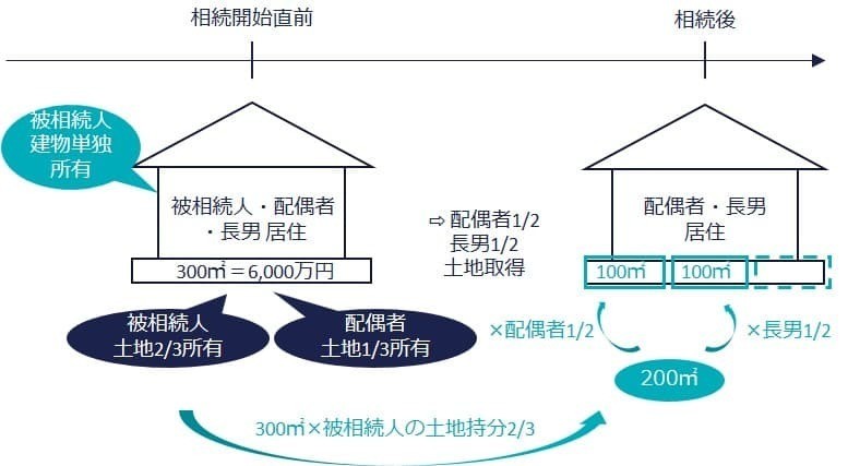 共有土地から共有相続（タイムライン図）