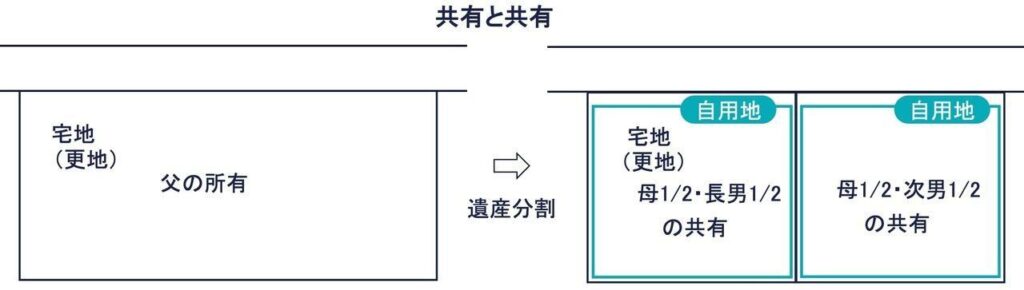 その③：共有と共有の図